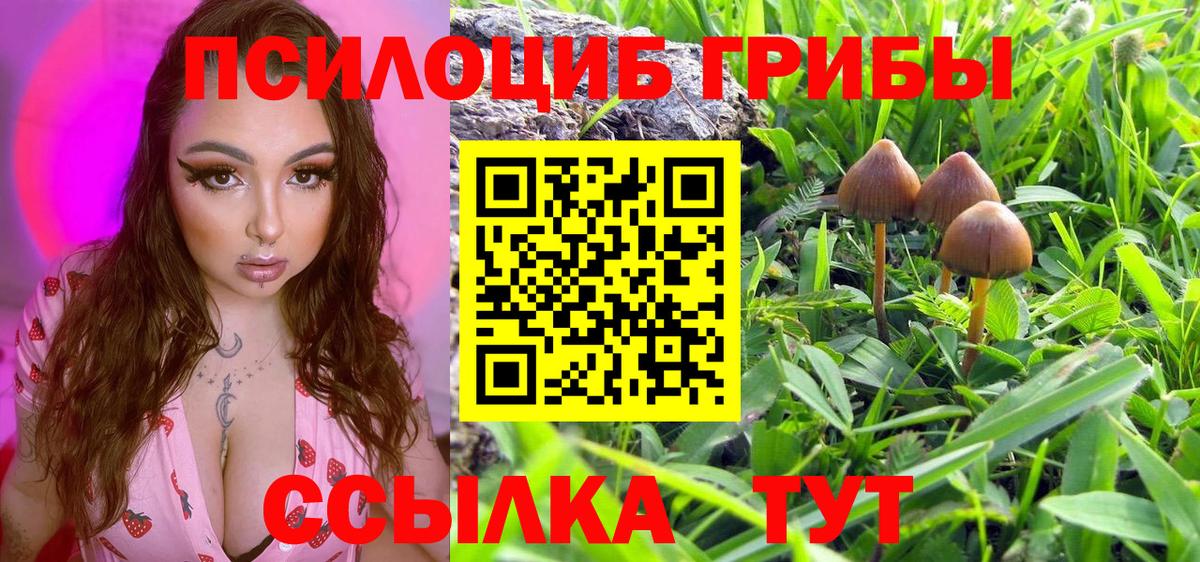 Симферополь  Псилоцибиновые грибы мицелий  Вход с VPN 